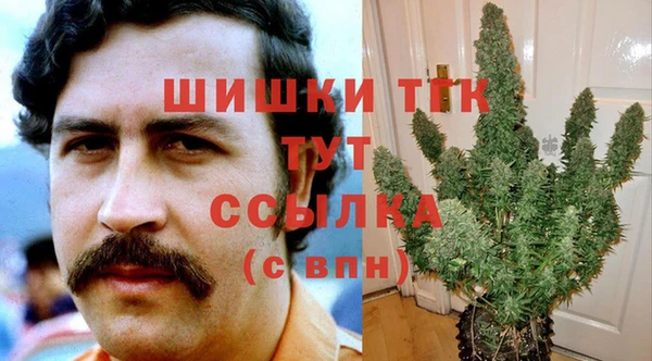 ALPHA PVP Няндома