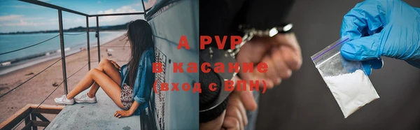 дмт Нягань