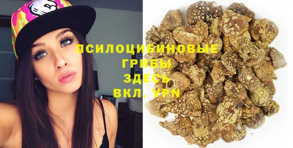 дмт Нягань