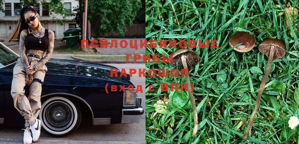 дмт Нягань