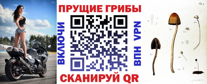 блэк спрут   Агидель  Псилоцибиновые грибы ЛСД 